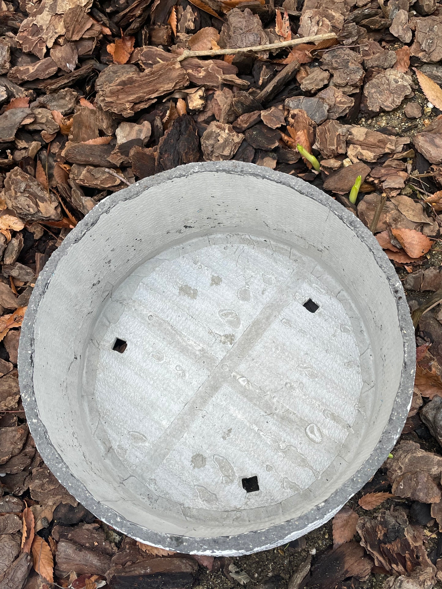 鉢 7.5号