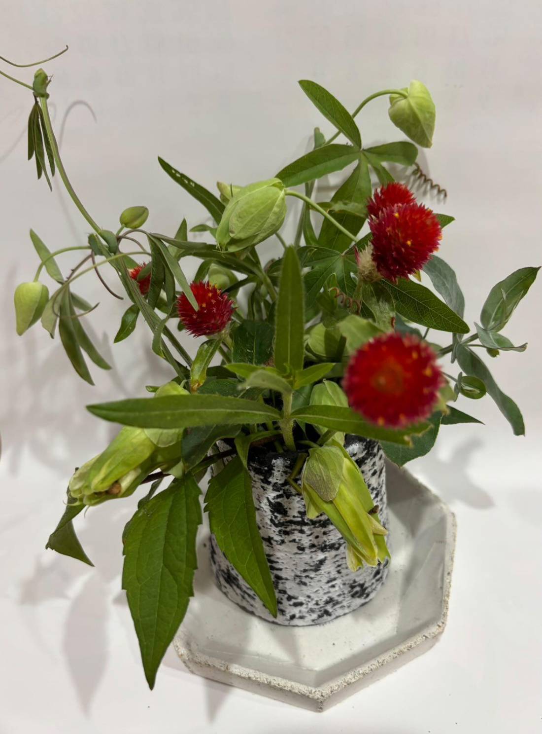 植木鉢受け皿セット 3号