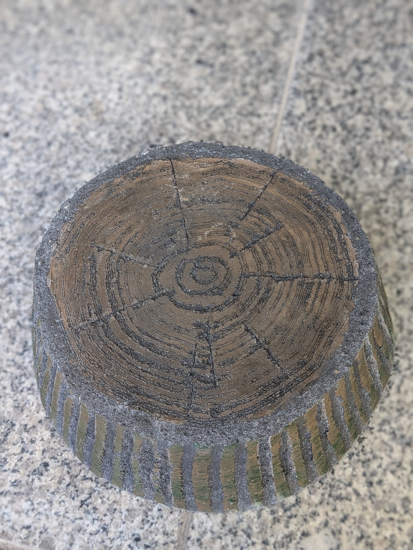 切り株