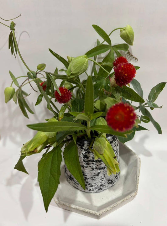 植木鉢受け皿セット　3号
