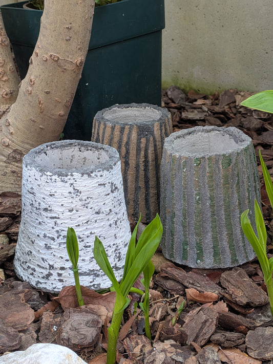 「芽生えのゆりかご」擬木ポット 3号 (Cradle of Buds)